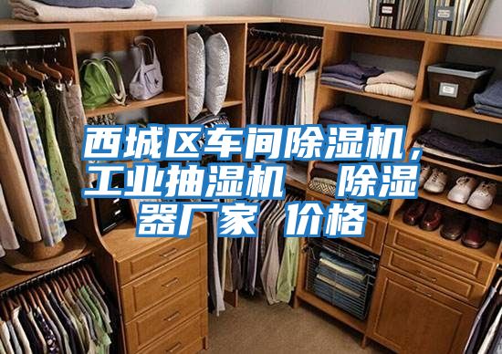 西城區車間除濕機，工業抽濕機  除濕器廠家 價格