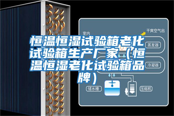 恒溫恒濕試驗箱老化試驗箱生產廠家（恒溫恒濕老化試驗箱品牌）