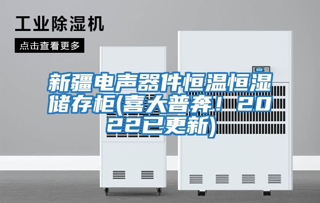新疆電聲器件恒溫恒濕儲存柜(喜大普奔！2022已更新)