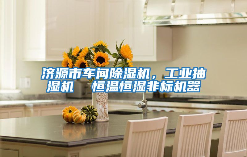 濟源市車間除濕機，工業抽濕機  恒溫恒濕非標機器
