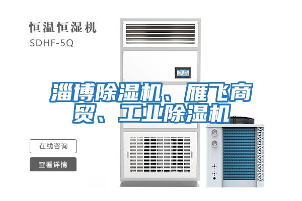 淄博除濕機、雁飛商貿、工業(yè)除濕機
