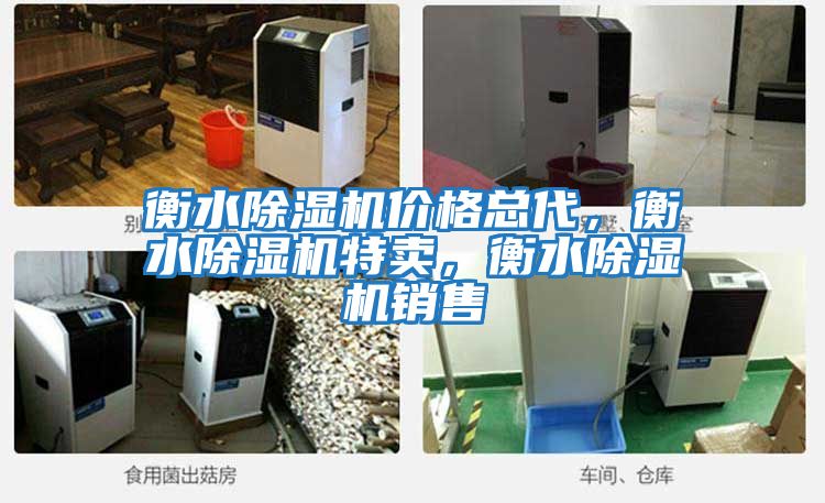 衡水除濕機(jī)價(jià)格總代，衡水除濕機(jī)特賣，衡水除濕機(jī)銷售