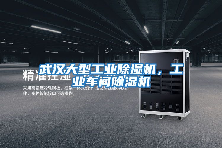 武漢大型工業除濕機，工業車間除濕機