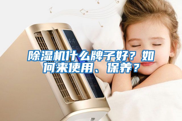 除濕機什么牌子好？如何來使用、保養？