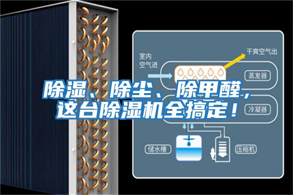 除濕、除塵、除甲醛，這臺(tái)除濕機(jī)全搞定！