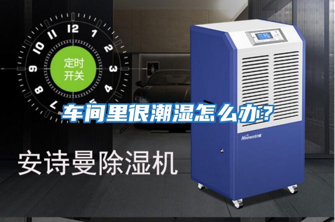 車間里很潮濕怎么辦？