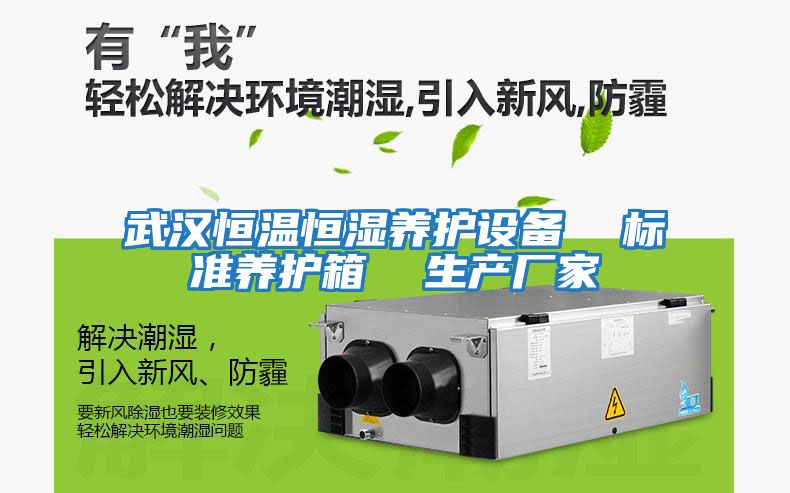 武漢恒溫恒濕養(yǎng)護(hù)設(shè)備 標(biāo)準(zhǔn)養(yǎng)護(hù)箱 生產(chǎn)廠家