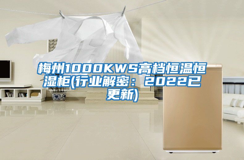 梅州1000KWS高檔恒溫恒濕柜(行業解密:2022已更新)