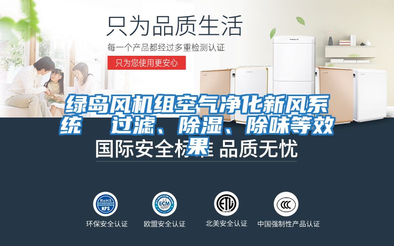 綠島風機組空氣凈化新風系統 過濾、除濕、除味等效果