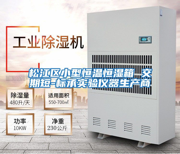 松江區小型恒溫恒濕箱 交期短-標承實驗儀器生產商