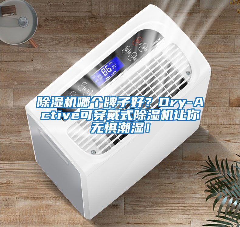 除濕機哪個牌子好?Dry-Active可穿戴式除濕機讓你無懼潮濕!
