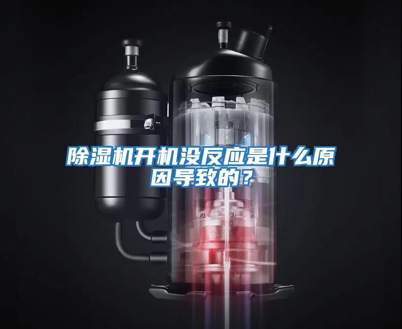 除濕機開機沒反應是什么原因導致的？