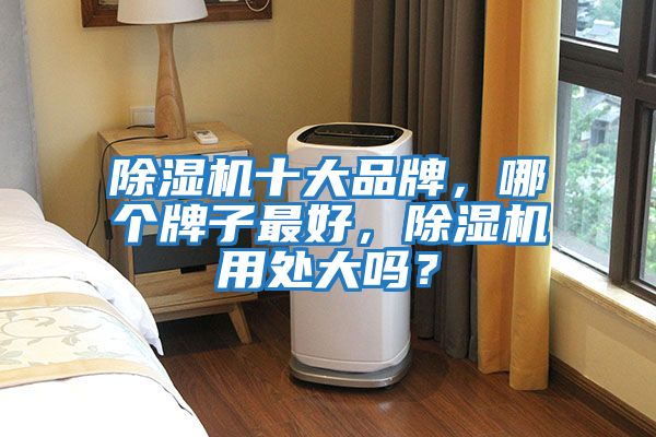 除濕機十大品牌,哪個牌子最好,除濕機用處大嗎?