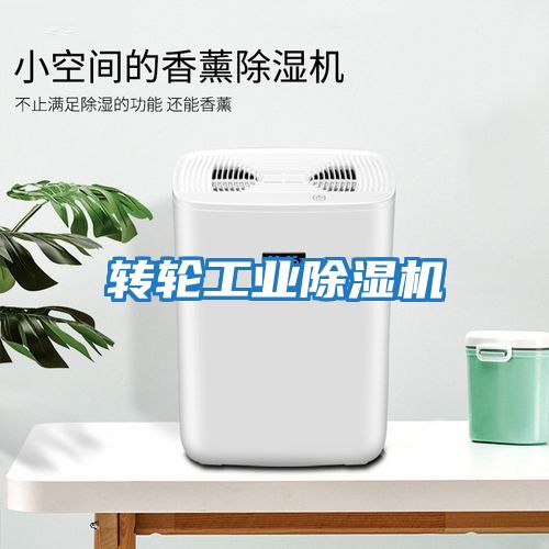 轉輪工業除濕機