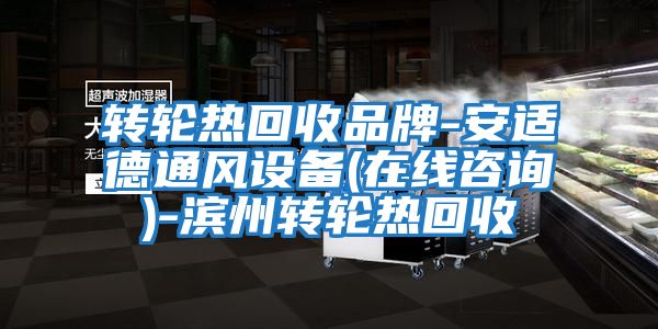 轉(zhuǎn)輪熱回收品牌-安適德通風(fēng)設(shè)備(在線(xiàn)咨詢(xún))-濱州轉(zhuǎn)輪熱回收