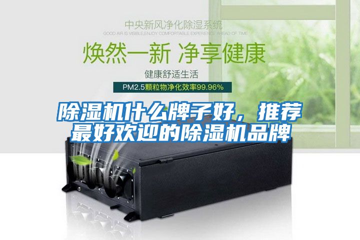除濕機什么牌子好，推薦最好歡迎的除濕機品牌