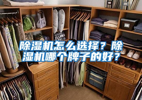 除濕機(jī)怎么選擇？除濕機(jī)哪個(gè)牌子的好？