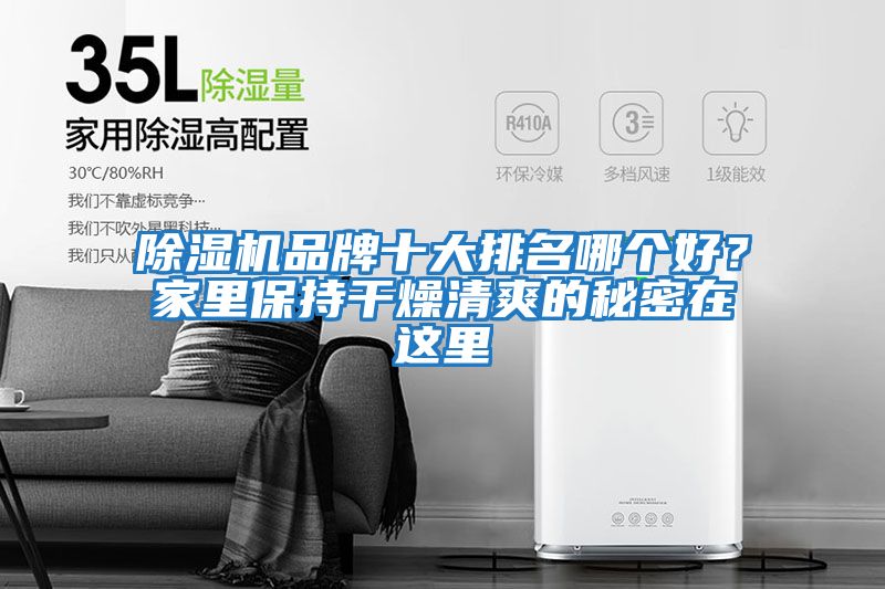 除濕機(jī)品牌十大排名哪個(gè)好？家里保持干燥清爽的秘密在這里