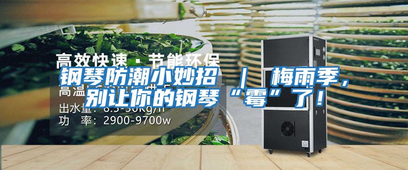 鋼琴防潮小妙招 ｜ 梅雨季，別讓你的鋼琴“霉”了！