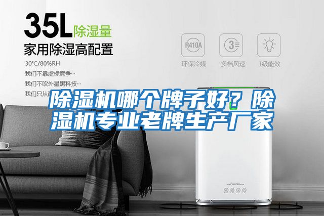 除濕機(jī)哪個(gè)牌子好?除濕機(jī)專業(yè)老牌生產(chǎn)廠家