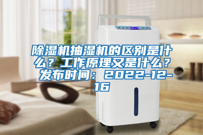 除濕機抽濕機的區別是什么？工作原理又是什么？ 發布時間：2022-12-16