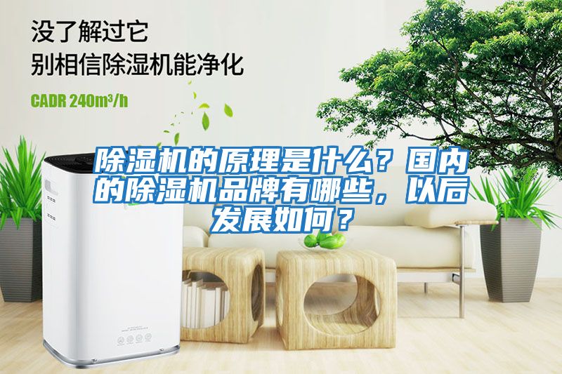 除濕機的原理是什么?國內的除濕機品牌有哪些,以后發展如何?