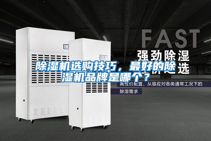 除濕機選購技巧，最好的除濕機品牌是哪個？