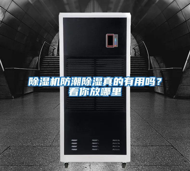 除濕機防潮除濕真的有用嗎?看你放哪里