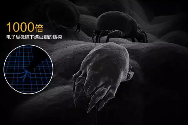 螨蟲高發(fā)季,家用除濕機(jī)除螨有妙計(jì)!